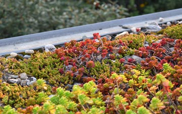 the cost of Walthamstow green roof installation