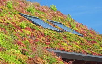 Walthamstow living roof systems